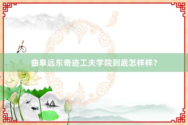 曲阜远东奇迹工夫学院到底怎样样？
