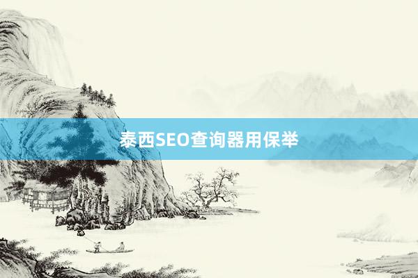 泰西SEO查询器用保举