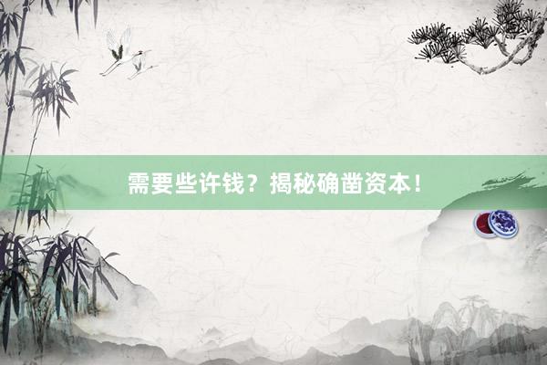 需要些许钱？揭秘确凿资本！